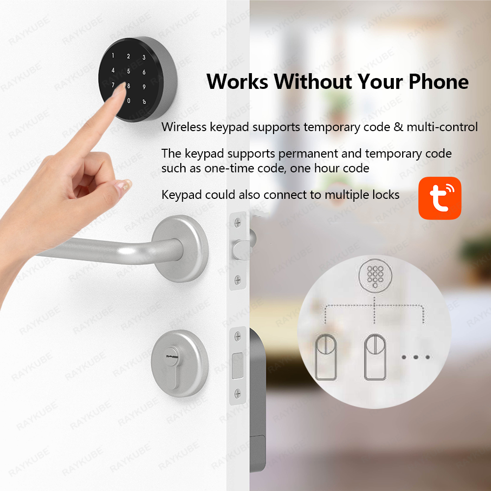 RAYKUBE A1 Pro Tuya BEL スマート電子 - Smart Home Japan のレビューと価格