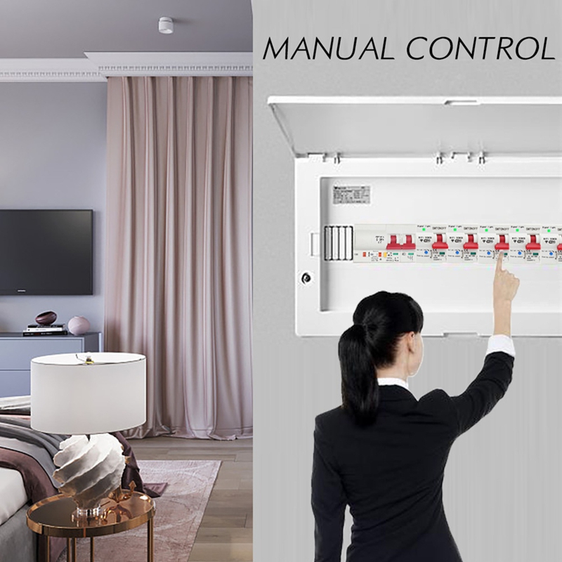 TuyaスマートライフWiFi DCスマートサーキットブレー - Smart Home In Us のレビューと価格