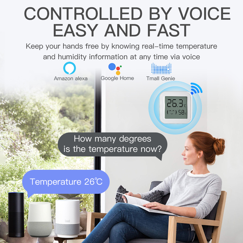 Bluetooth 温度湿度センサーミニ LCD スクリーン - Smart Home Voice Assistant のレビューと価格