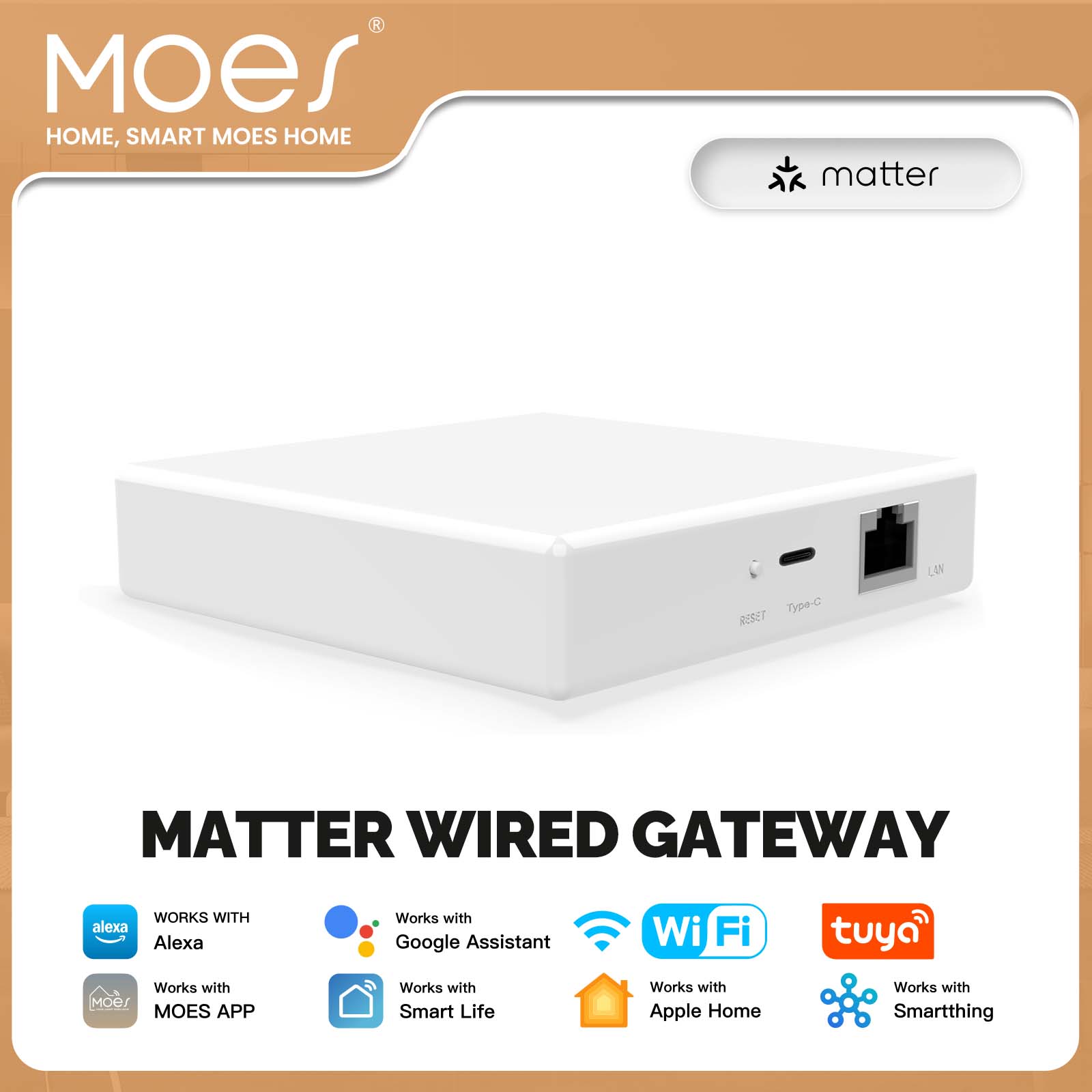 MOES Tuya ZigBee Matter Thread - Smart Home Voice Assistant のレビューと価格